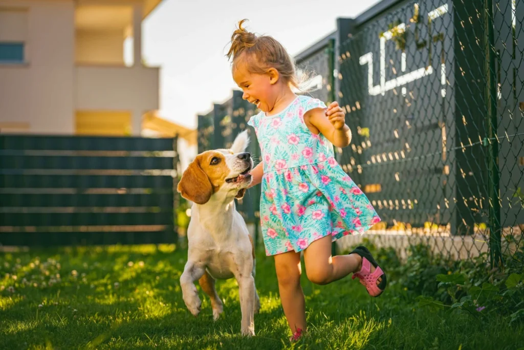 Melhor raça de cachorro para criança