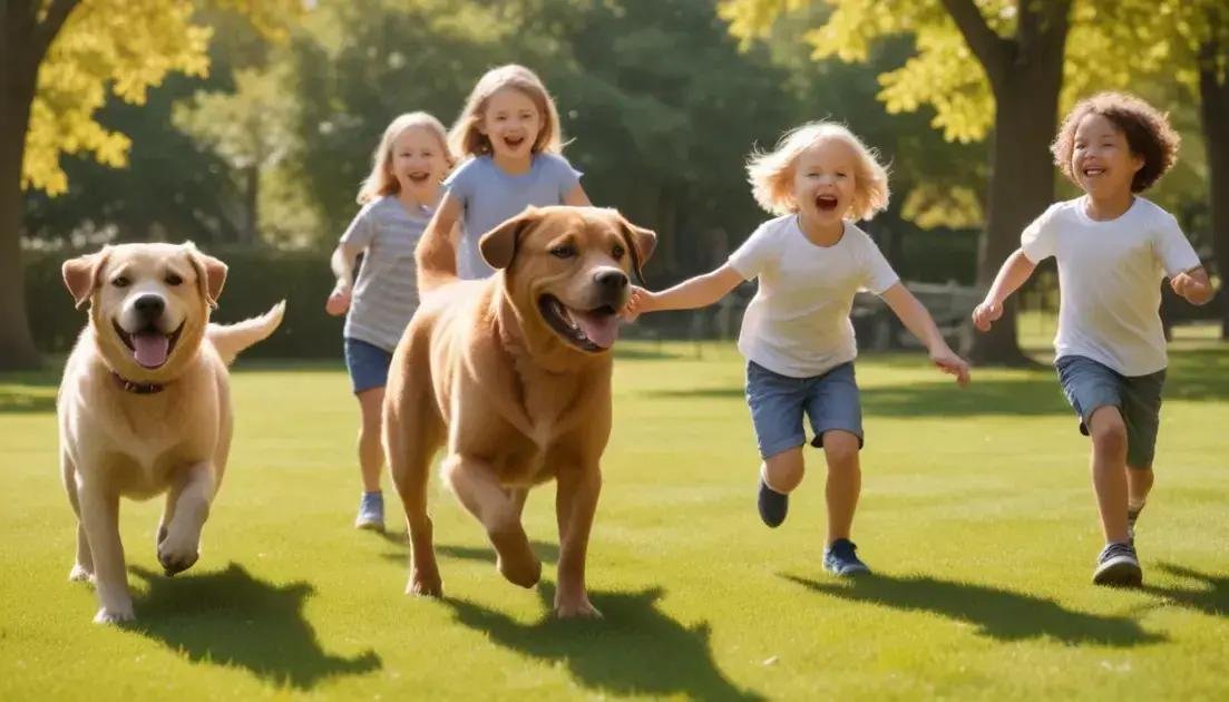 Top 5 raças recomendadas para crianças