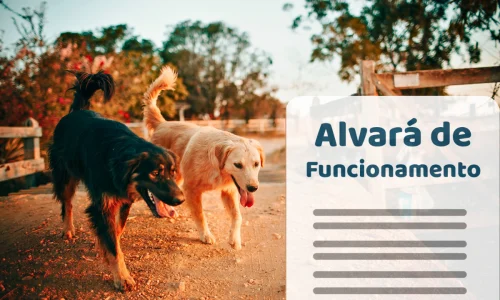 Alvará para Creche de Cachorro