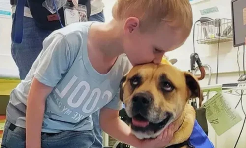 Cachorro de Apoio Emocional