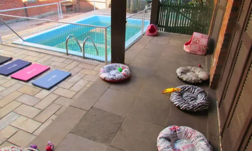 Creche para Cachorro em Porto Alegre