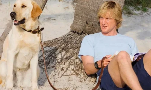 Filme de cachorro emocionante