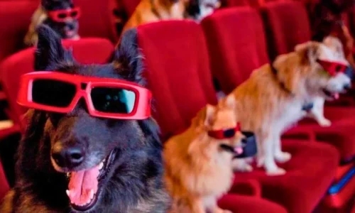Filmes de Cachorro