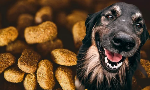 Ração Antialérgica para Cachorro